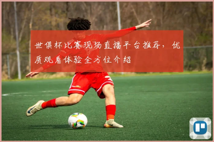 世俱杯比赛现场直播平台推荐,优质观看体验全方位介绍