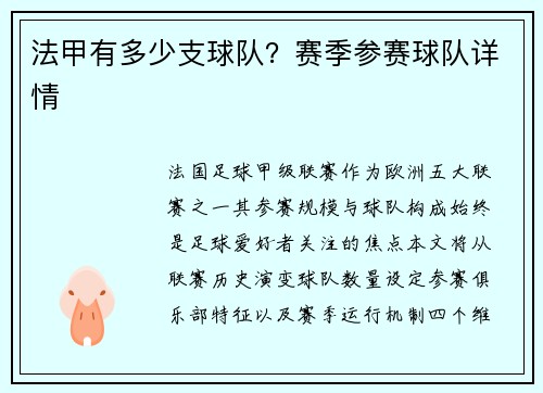法甲有多少支球队？赛季参赛球队详情