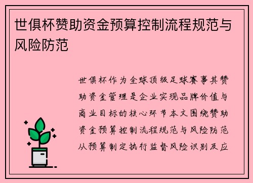 世俱杯赞助资金预算控制流程规范与风险防范